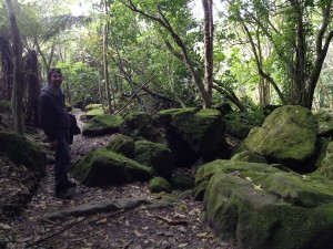Tolaga Bay-The Mount-Cooks Beach-044